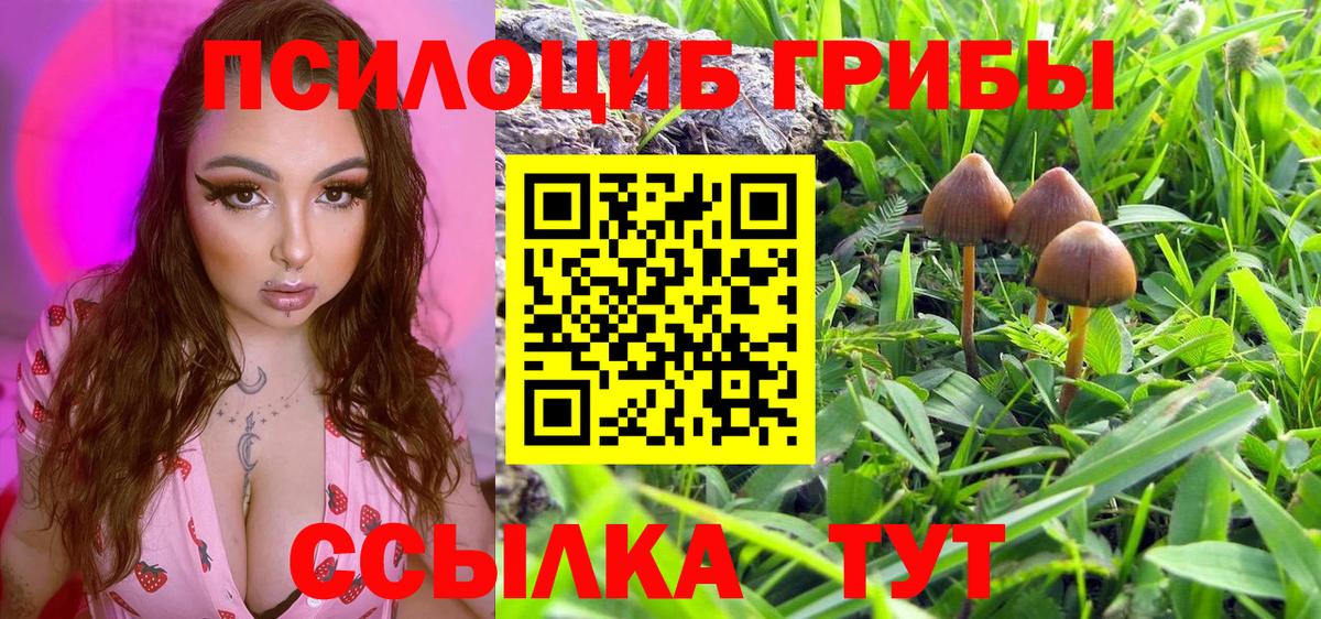 Галлюциногенные грибы прущие грибы Миллерово